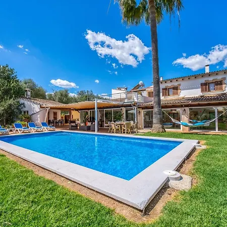 Ideal Mallorca - Tomeu * Llubí